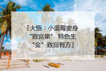 大悟：小蓝莓变身“致富果” 特色生“金”致富有方