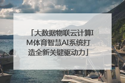 大数据物联云计算IM体育智慧AI系统打造全新关键驱动力