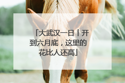 大武汉一日︱开到六月底，这里的花比人还高