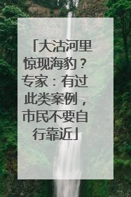 大沽河里惊现海豹？专家：有过此类案例，市民不要自行靠近