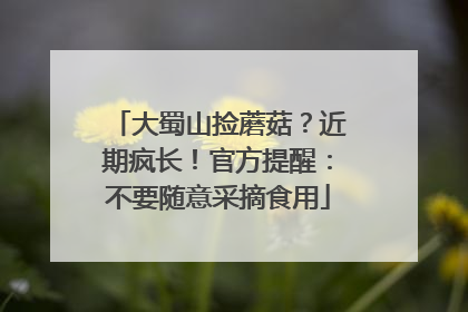 大蜀山捡蘑菇？近期疯长！官方提醒：不要随意采摘食用