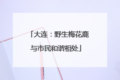 大连：野生梅花鹿与市民和谐相处