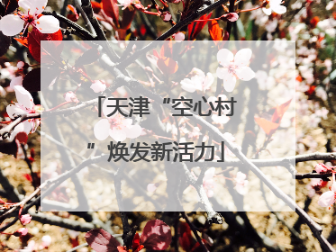 天津“空心村”焕发新活力