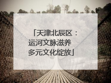 天津北辰区：运河文脉滋养 多元文化绽放