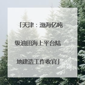 天津：渤海亿吨级油田海上平台陆地建造工作收官