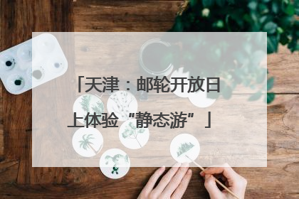 天津：邮轮开放日上体验“静态游”