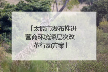 太原市发布推进营商环境深层次改革行动方案