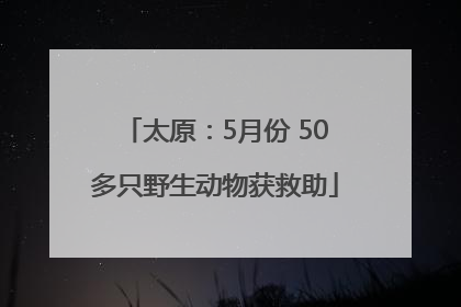太原：5月份 50多只野生动物获救助