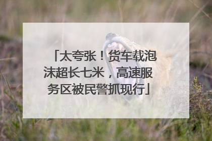 太夸张！货车载泡沫超长七米，高速服务区被民警抓现行