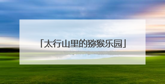 太行山里的猕猴乐园