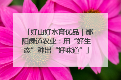 好山好水育优品｜郧阳绿道农业：用“好生态”种出“好味道”