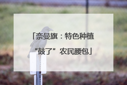 奈曼旗：特色种植“鼓了”农民腰包