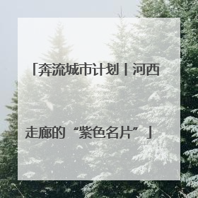 奔流城市计划丨河西走廊的“紫色名片”