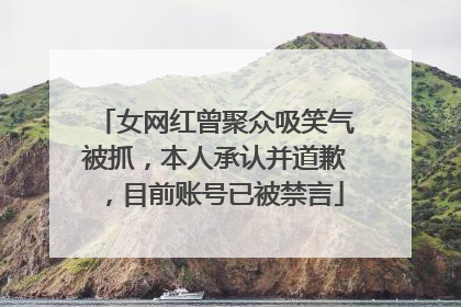 女网红曾聚众吸笑气被抓，本人承认并道歉，目前账号已被禁言