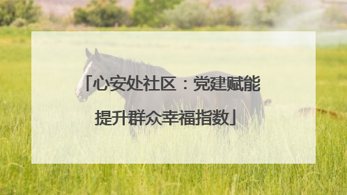 心安处社区：党建赋能 提升群众幸福指数