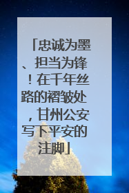 忠诚为墨、担当为锋！在千年丝路的褶皱处，甘州公安写下平安的注脚