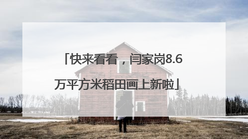 快来看看，闫家岗8.6万平方米稻田画上新啦