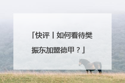 快评丨如何看待樊振东加盟德甲？