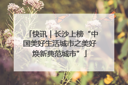 快讯｜长沙上榜“中国美好生活城市之美好焕新典范城市”