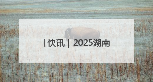 快讯｜2025湖南·怀化屈原爱国怀乡诗歌文化推广季开幕