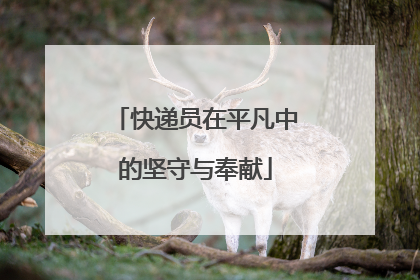 快递员在平凡中的坚守与奉献