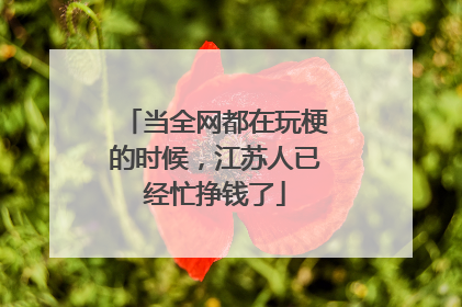 当全网都在玩梗的时候，江苏人已经忙挣钱了