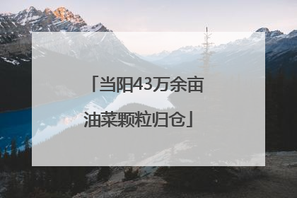 当阳43万余亩油菜颗粒归仓