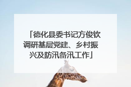德化县委书记方俊钦调研基层党建、乡村振兴及防汛备汛工作