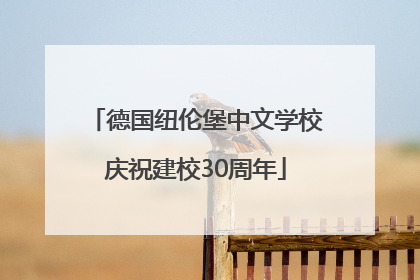 德国纽伦堡中文学校庆祝建校30周年