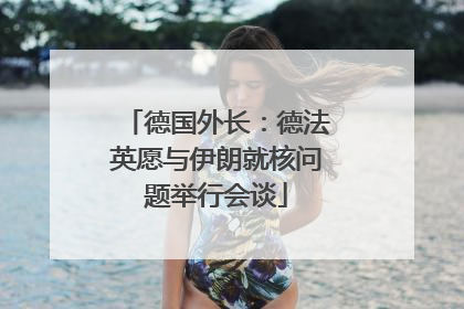 德国外长：德法英愿与伊朗就核问题举行会谈