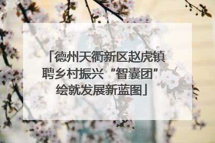德州天衢新区赵虎镇聘乡村振兴“智囊团” 绘就发展新蓝图