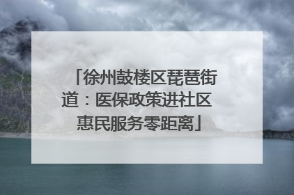 徐州鼓楼区琵琶街道：医保政策进社区 惠民服务零距离
