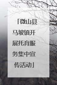 微山县马坡镇开展托育服务集中宣传活动