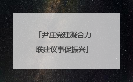 尹庄党建凝合力 联建议事促振兴