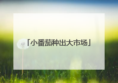 小番茄种出大市场