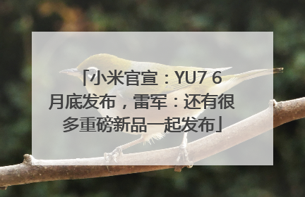 小米官宣：YU7 6月底发布，雷军：还有很多重磅新品一起发布