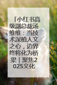 小红书高级副总裁汤维维：当技术深植人文之心，边界终将化为桥梁｜聚焦2025文化强国建设高峰论坛