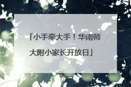 小手牵大手！华南师大附小家长开放日