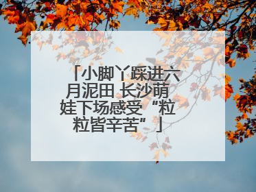 小脚丫踩进六月泥田 长沙萌娃下场感受“粒粒皆辛苦”