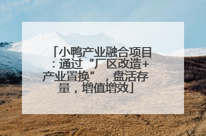 小鸭产业融合项目：通过“厂区改造+产业置换”，盘活存量，增值增效