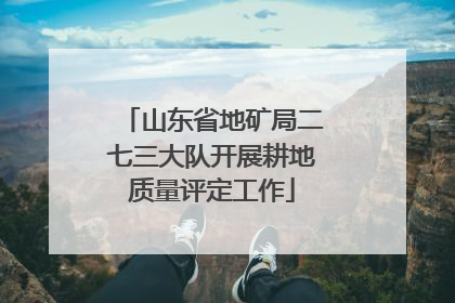 山东省地矿局二七三大队开展耕地质量评定工作