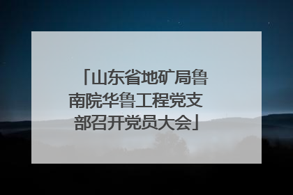 山东省地矿局鲁南院华鲁工程党支部召开党员大会