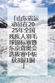 山东省运动员在2025年全国残疾人羽毛球锦标赛暨东京聋奥会选拔赛中斩获3银1铜