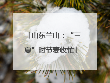 山东兰山：“三夏”时节麦收忙