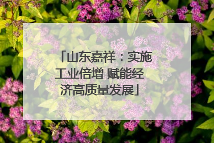 山东嘉祥：实施工业倍增 赋能经济高质量发展