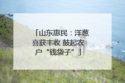山东惠民：洋葱喜获丰收 鼓起农户“钱袋子”