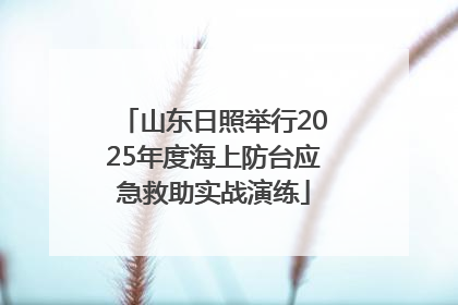 山东日照举行2025年度海上防台应急救助实战演练