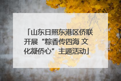 山东日照东港区侨联开展“粽香传四海 文化凝侨心”主题活动