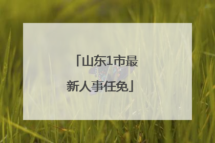 山东1市最新人事任免