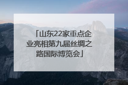 山东22家重点企业亮相第九届丝绸之路国际博览会